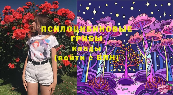 спиды Покровск