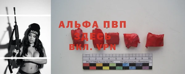 ECSTASY Покров