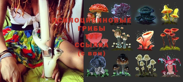 трава Болохово