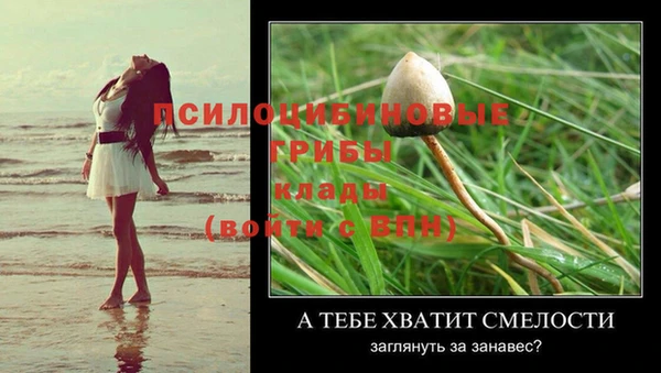 ECSTASY Покров