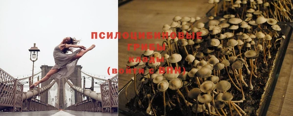 ECSTASY Покров
