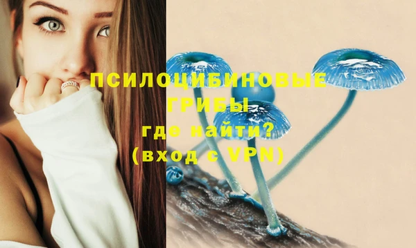 скорость Покачи