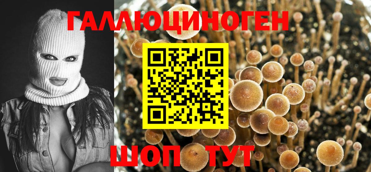 Петрозаводск  купить наркотик  Вход с VPN  Псилоцибиновые грибы Psilocybine cubensis 